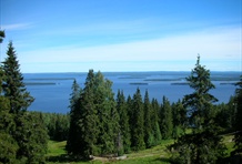 Koli National Park